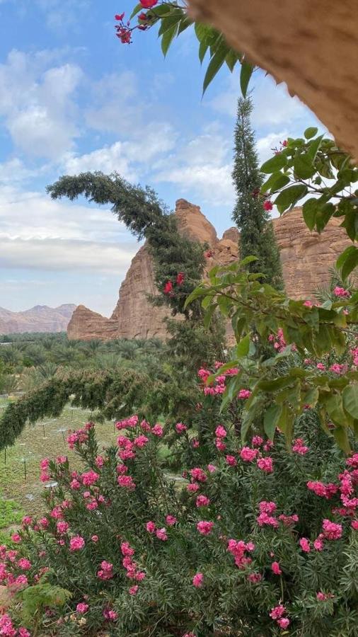 Villa الجوهرة Diamond Plus Al-'Ula Exterior foto