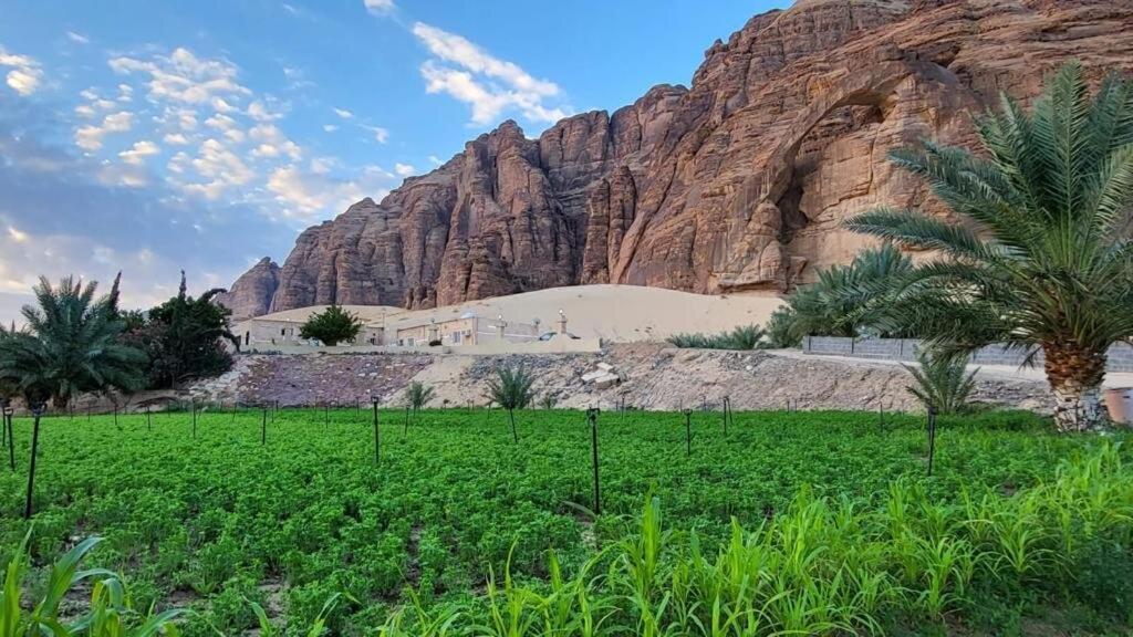 Villa الجوهرة Diamond Plus Al-'Ula Exterior foto
